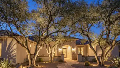Dramatic tree uplighting design by professional landscapers in Mesa, AZ enhancing evening landscape ambiance